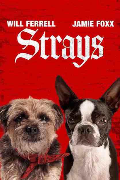 Strays Hindi Hollywood Movie Hdmovies4u
